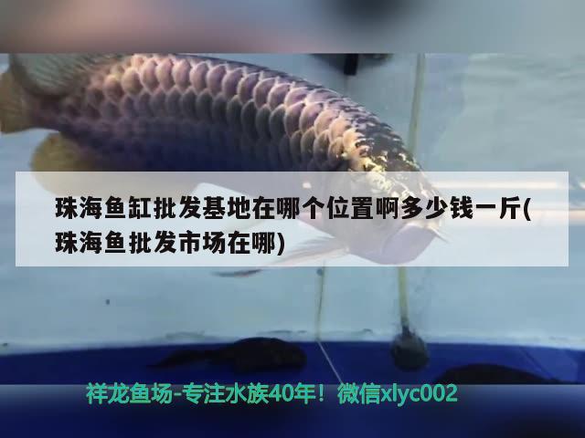 珠海魚缸批發(fā)基地在哪個(gè)位置啊多少錢一斤(珠海魚批發(fā)市場(chǎng)在哪) 銀龍魚苗