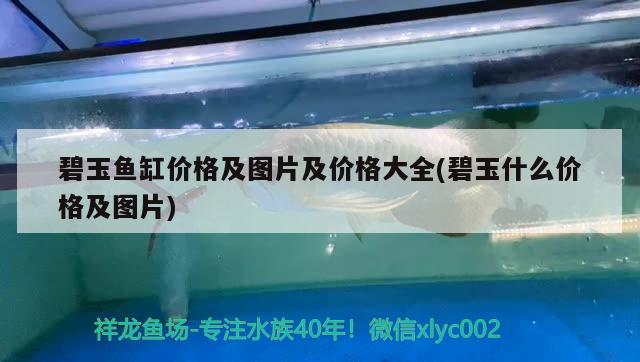 碧玉魚缸價格及圖片及價格大全(碧玉什么價格及圖片)