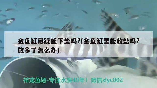 金魚缸暴躁能下鹽嗎?(金魚缸里能放鹽嗎?放多了怎么辦) 潛水泵