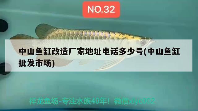 中山魚(yú)缸改造廠家地址電話多少號(hào)(中山魚(yú)缸批發(fā)市場(chǎng)) 白化火箭