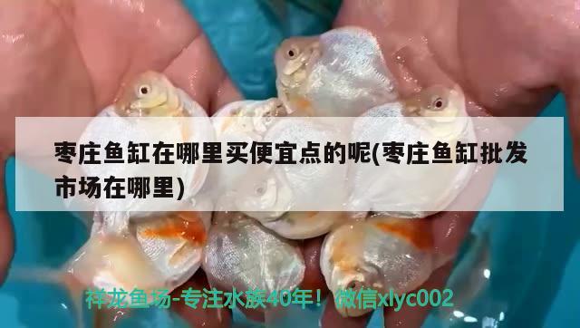 棗莊魚缸在哪里買便宜點(diǎn)的呢(棗莊魚缸批發(fā)市場(chǎng)在哪里)