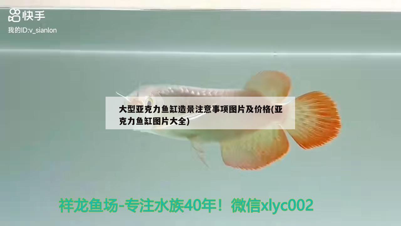 大型亞克力魚(yú)缸造景注意事項(xiàng)圖片及價(jià)格(亞克力魚(yú)缸圖片大全) 造景/裝飾