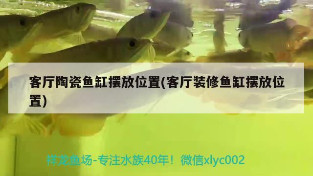 客廳陶瓷魚缸擺放位置(客廳裝修魚缸擺放位置)