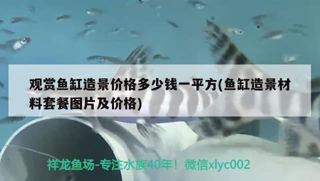 觀賞魚(yú)缸造景價(jià)格多少錢一平方(魚(yú)缸造景材料套餐圖片及價(jià)格) 赤荔鳳冠魚(yú)