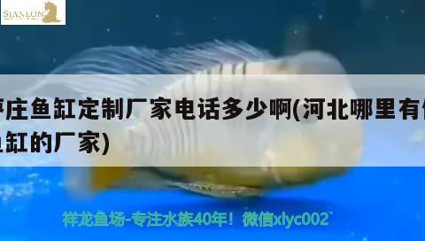 棗莊魚缸定制廠家電話多少啊(河北哪里有做魚缸的廠家) 水族維護服務（上門）