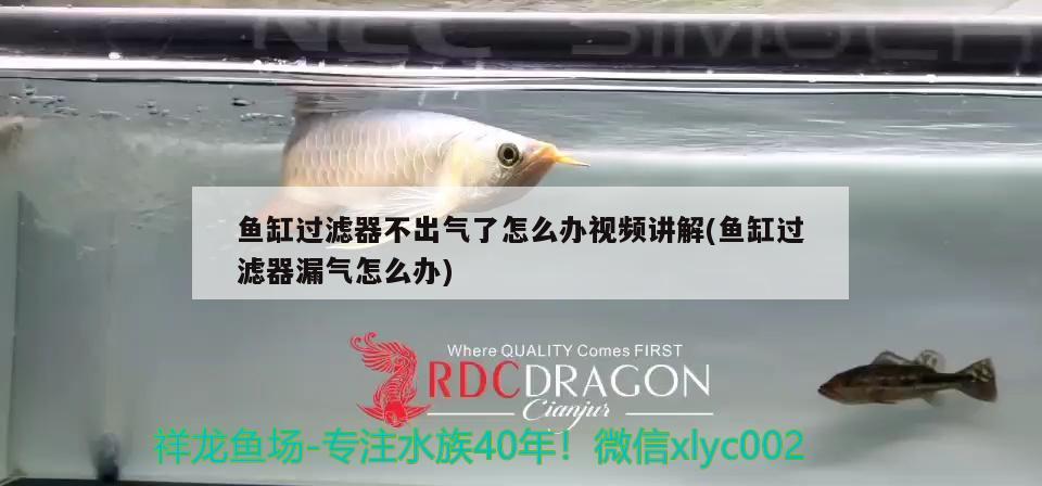 魚缸過(guò)濾器不出氣了怎么辦視頻講解(魚缸過(guò)濾器漏氣怎么辦) 伊巴卡魚