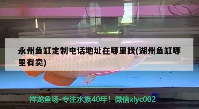 永州魚缸定制電話地址在哪里找(湖州魚缸哪里有賣)