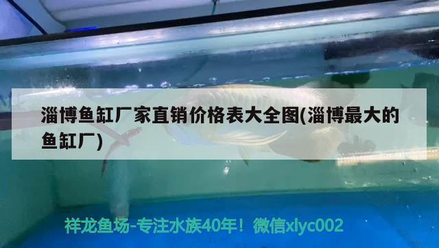 淄博魚缸廠家直銷價格表大全圖(淄博最大的魚缸廠) 泰國虎魚