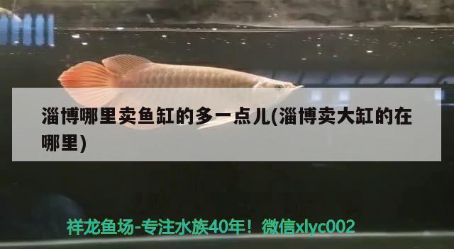 淄博哪里賣魚缸的多一點兒(淄博賣大缸的在哪里)