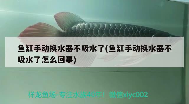 魚(yú)缸手動(dòng)換水器不吸水了(魚(yú)缸手動(dòng)換水器不吸水了怎么回事) 泰國(guó)虎魚(yú)