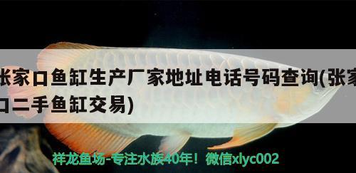 張家口魚缸生產(chǎn)廠家地址電話號(hào)碼查詢(張家口二手魚缸交易) 泰龐海鰱魚