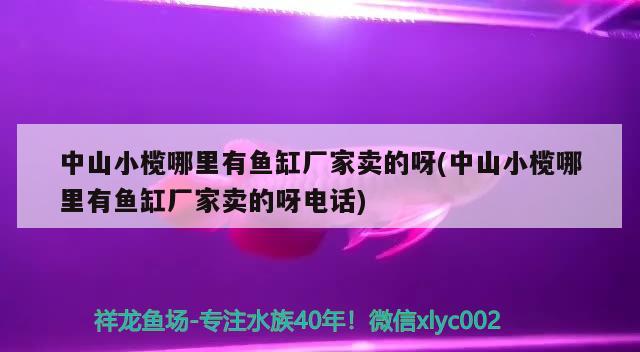 中山小欖哪里有魚缸廠家賣的呀(中山小欖哪里有魚缸廠家賣的呀電話) 觀賞蝦蟹等飼料