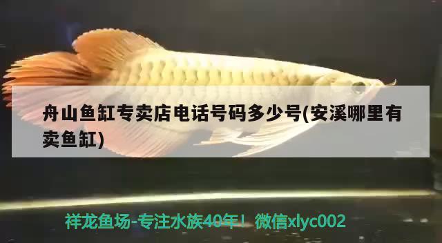 舟山魚缸專賣店電話號碼多少號(安溪哪里有賣魚缸) 九鼎魚缸