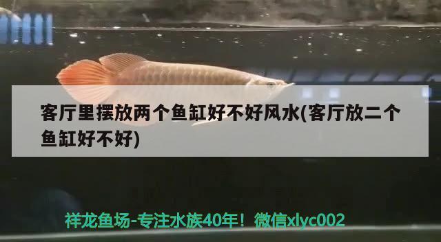 客廳里擺放兩個魚缸好不好風(fēng)水(客廳放二個魚缸好不好)