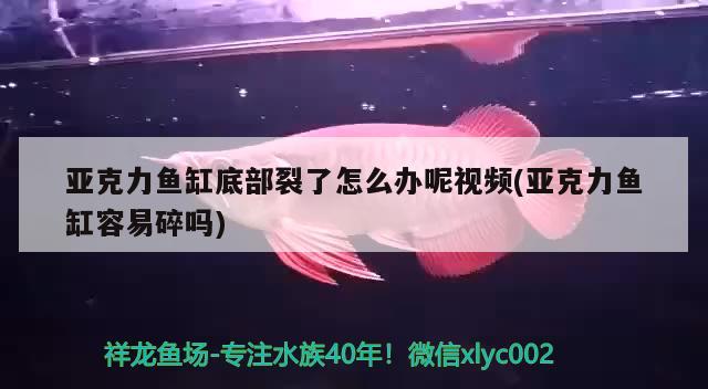 亞克力魚缸底部裂了怎么辦呢視頻(亞克力魚缸容易碎嗎) 羅漢魚批發(fā) 第2張