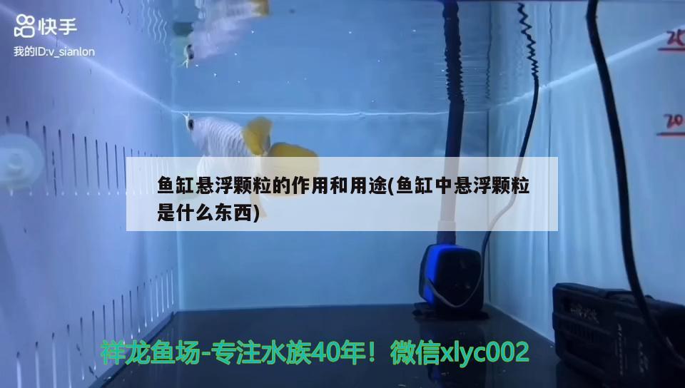 魚缸懸浮顆粒的作用和用途(魚缸中懸浮顆粒是什么東西) 潛水泵