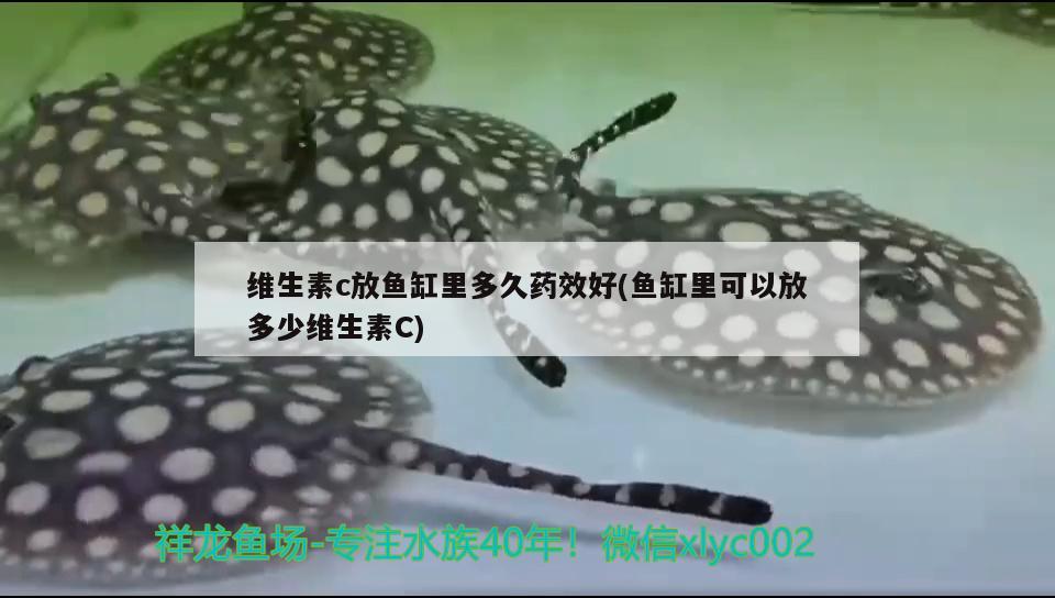 維生素c放魚缸里多久藥效好(魚缸里可以放多少維生素C) 二氧化碳設(shè)備