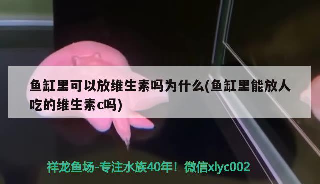 魚缸里可以放維生素嗎為什么(魚缸里能放人吃的維生素c嗎) 廣州水族批發(fā)市場(chǎng)