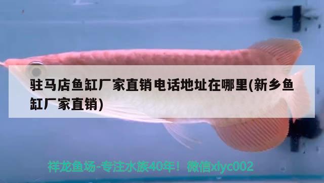 駐馬店魚缸廠家直銷電話地址在哪里(新鄉(xiāng)魚缸廠家直銷)