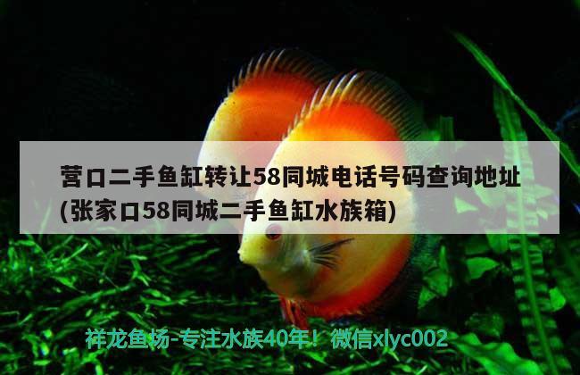 營口二手魚缸轉讓58同城電話號碼查詢地址(張家口58同城二手魚缸水族箱) 魚缸/水族箱 第2張