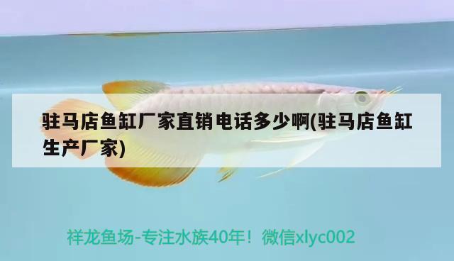 駐馬店魚(yú)缸廠家直銷電話多少啊(駐馬店魚(yú)缸生產(chǎn)廠家) 小型觀賞魚(yú)