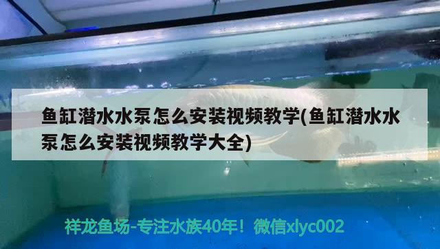 魚缸潛水水泵怎么安裝視頻教學(魚缸潛水水泵怎么安裝視頻教學大全)