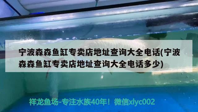 寧波森森魚缸專賣店地址查詢大全電話(寧波森森魚缸專賣店地址查詢大全電話多少) 黑帝王魟魚