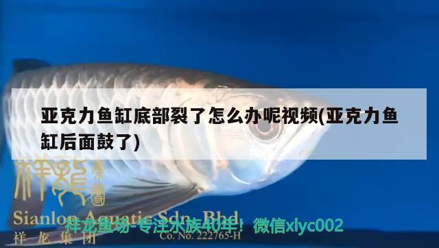 亞克力魚缸底部裂了怎么辦呢視頻(亞克力魚缸后面鼓了)