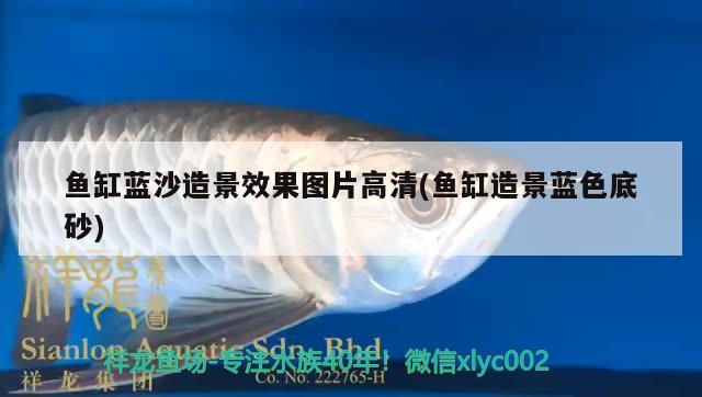 魚缸藍(lán)沙造景效果圖片高清(魚缸造景藍(lán)色底砂) 魚缸清潔用具