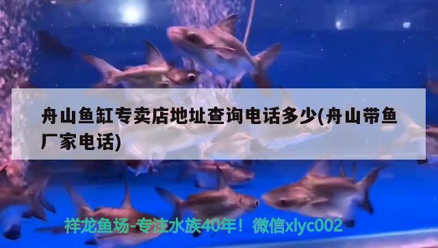 舟山魚缸專賣店地址查詢電話多少(舟山帶魚廠家電話)