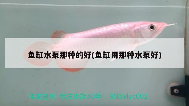 魚缸水泵那種的好(魚缸用那種水泵好)