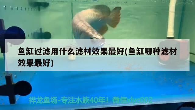 魚缸過濾用什么濾材效果最好(魚缸哪種濾材效果最好)