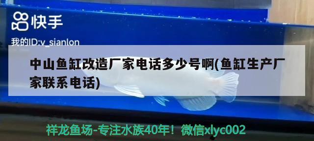 中山魚(yú)缸改造廠家電話多少號(hào)啊(魚(yú)缸生產(chǎn)廠家聯(lián)系電話) 白寫(xiě)錦鯉魚(yú)