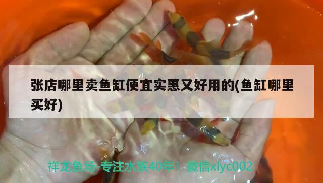 張店哪里賣魚缸便宜實(shí)惠又好用的(魚缸哪里買好) 招財(cái)戰(zhàn)船魚