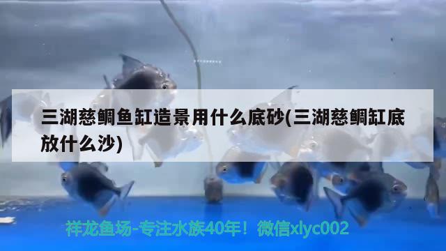 三湖慈鯛魚缸造景用什么底砂(三湖慈鯛缸底放什么沙)