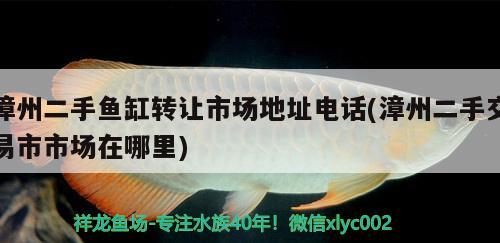 漳州二手魚(yú)缸轉(zhuǎn)讓市場(chǎng)地址電話(漳州二手交易市市場(chǎng)在哪里) 帝王三間魚(yú)