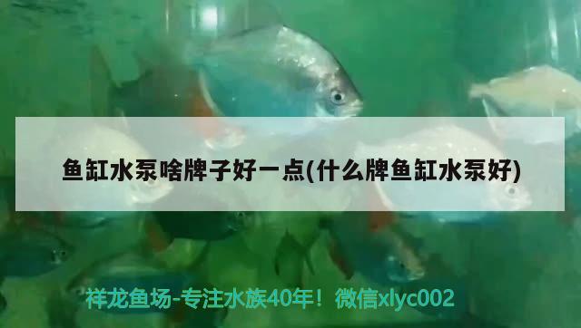 魚缸水泵啥牌子好一點(什么牌魚缸水泵好) 魚缸水泵