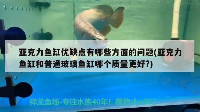 亞克力魚缸優(yōu)缺點有哪些方面的問題(亞克力魚缸和普通玻璃魚缸哪個質(zhì)量更好?) 金三間魚