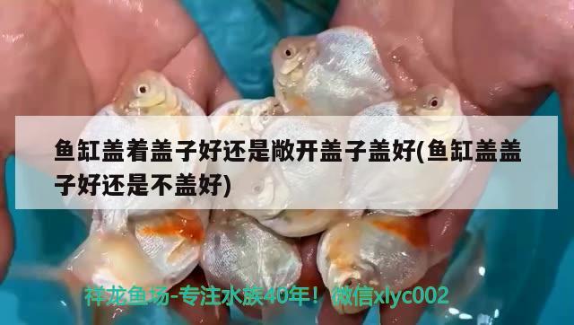 魚缸蓋著蓋子好還是敞開蓋子蓋好(魚缸蓋蓋子好還是不蓋好)