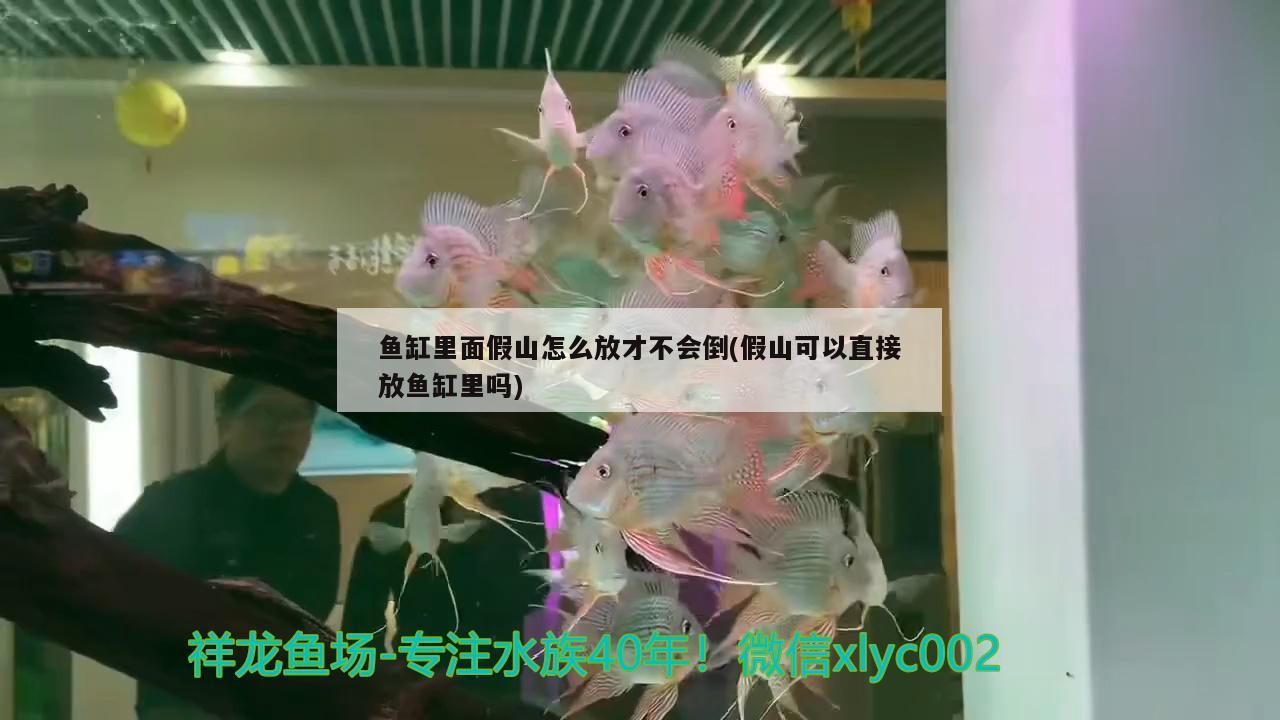 魚缸里面假山怎么放才不會倒(假山可以直接放魚缸里嗎) 雪龍魚