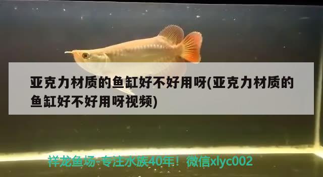 亞克力材質(zhì)的魚缸好不好用呀(亞克力材質(zhì)的魚缸好不好用呀視頻) 黃金達摩魚