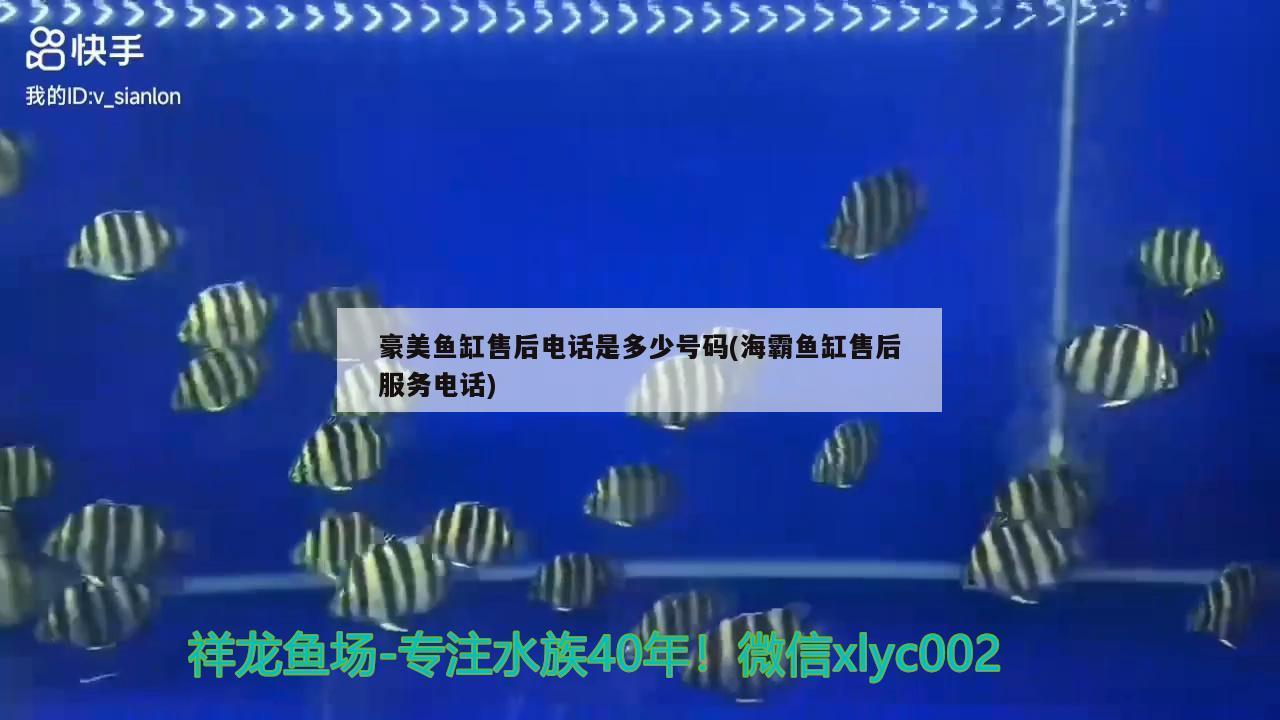 豪美魚缸售后電話是多少號碼(海霸魚缸售后服務(wù)電話)