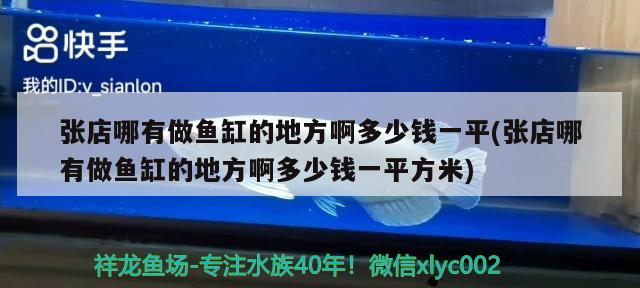 張店哪有做魚缸的地方啊多少錢一平(張店哪有做魚缸的地方啊多少錢一平方米) 祥龍龍魚專用水族燈