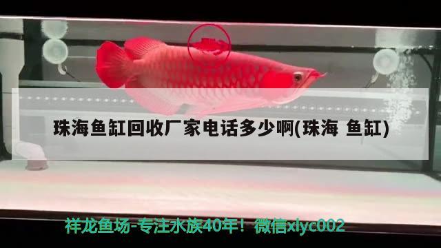 珠海魚缸回收廠家電話多少啊(珠海魚缸) 魚缸水質(zhì)穩(wěn)定劑