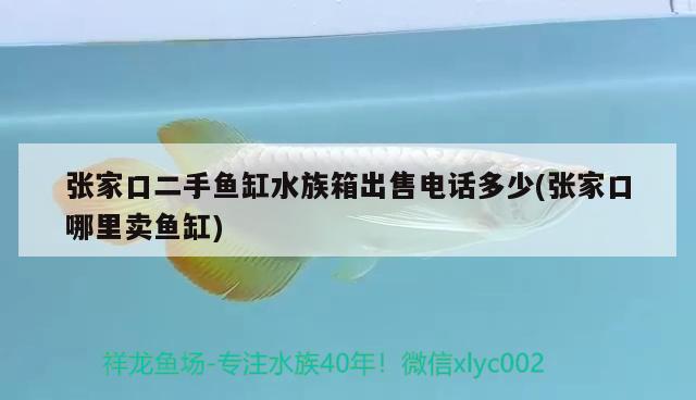 張家口二手魚(yú)缸水族箱出售電話多少(張家口哪里賣魚(yú)缸) 魚(yú)缸/水族箱