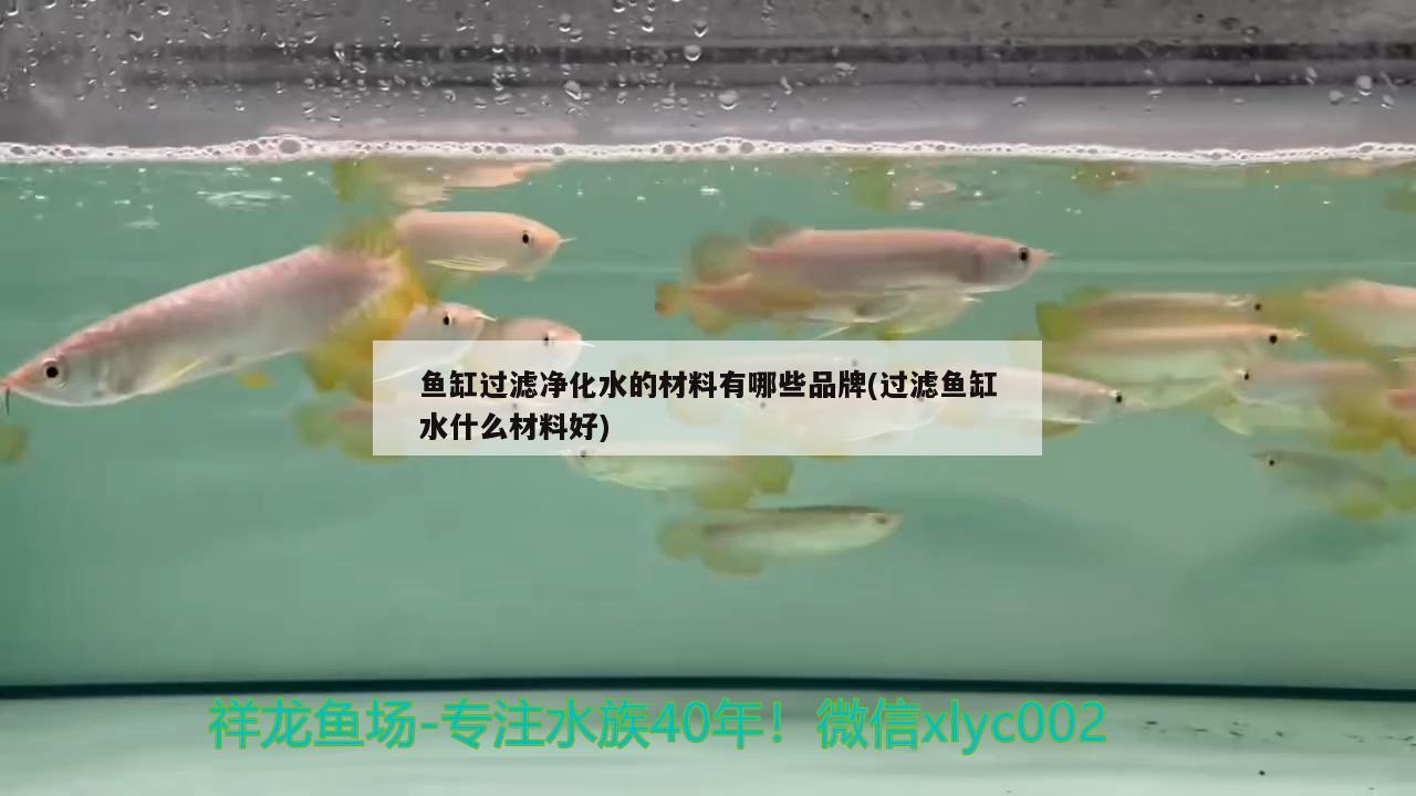 魚(yú)缸過(guò)濾凈化水的材料有哪些品牌(過(guò)濾魚(yú)缸水什么材料好) 紅龍專(zhuān)用魚(yú)糧飼料