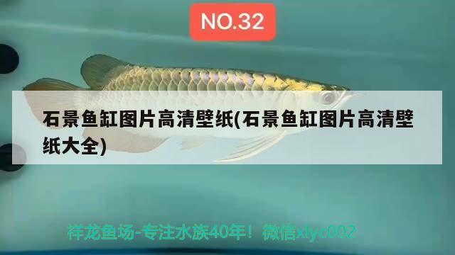 石景魚缸圖片高清壁紙(石景魚缸圖片高清壁紙大全) 斯維尼關(guān)刀魚