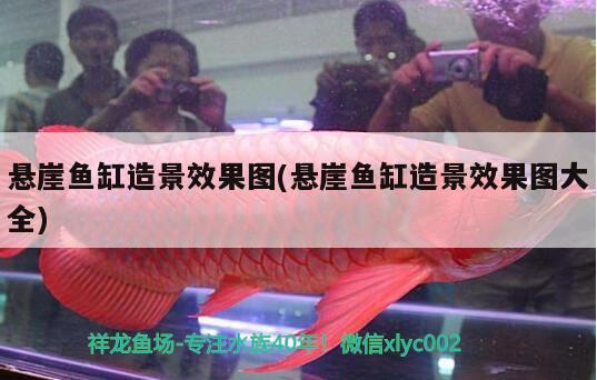 懸崖魚(yú)缸造景效果圖(懸崖魚(yú)缸造景效果圖大全)