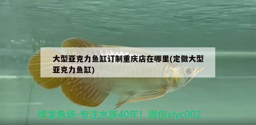 大型亞克力魚缸訂制重慶店在哪里(定做大型亞克力魚缸) 招財(cái)戰(zhàn)船魚