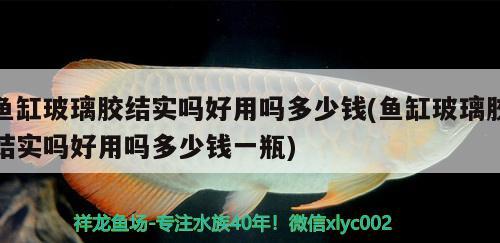 魚(yú)缸玻璃膠結(jié)實(shí)嗎好用嗎多少錢(qián)(魚(yú)缸玻璃膠結(jié)實(shí)嗎好用嗎多少錢(qián)一瓶)